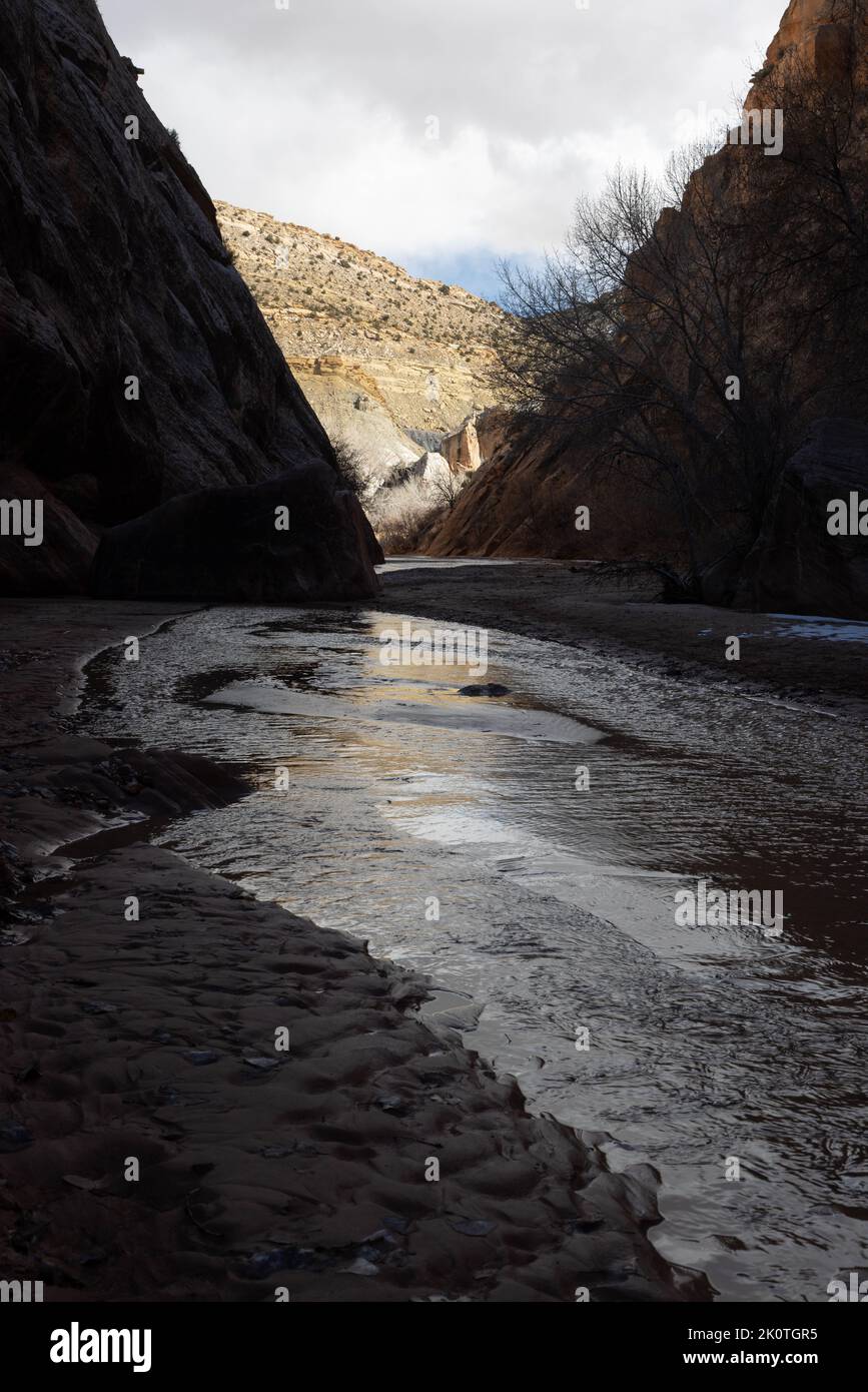 Steep cliffs rising above the mouth of Hackberry Canyon. Grand ...