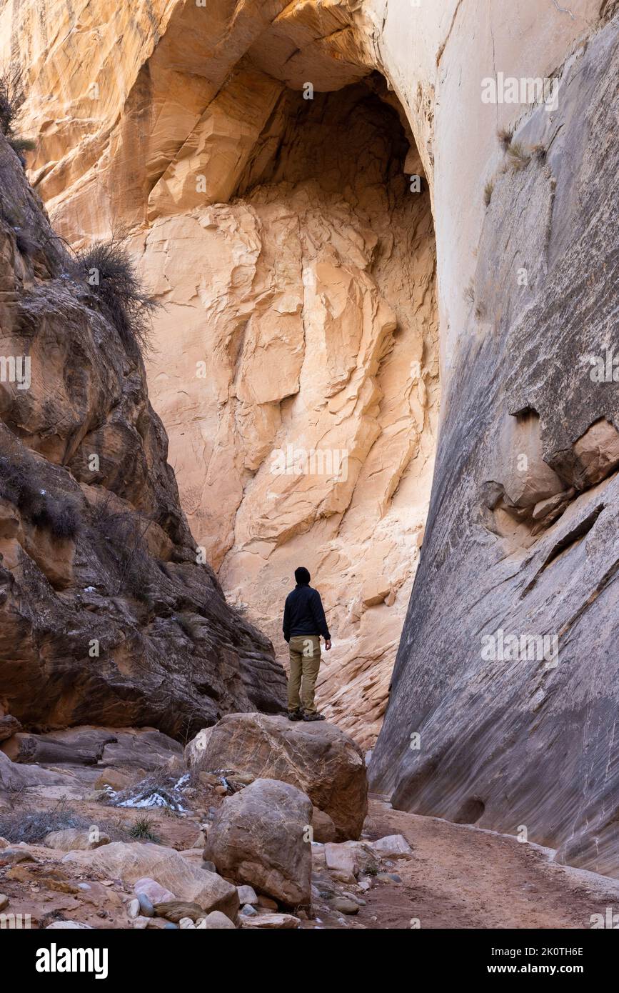 A large eroded alcove in the sandstone walls of the Cottonwood Narrows rising above a male hiker. Grand Staircase-Escalante National Monument, Utah Stock Photo