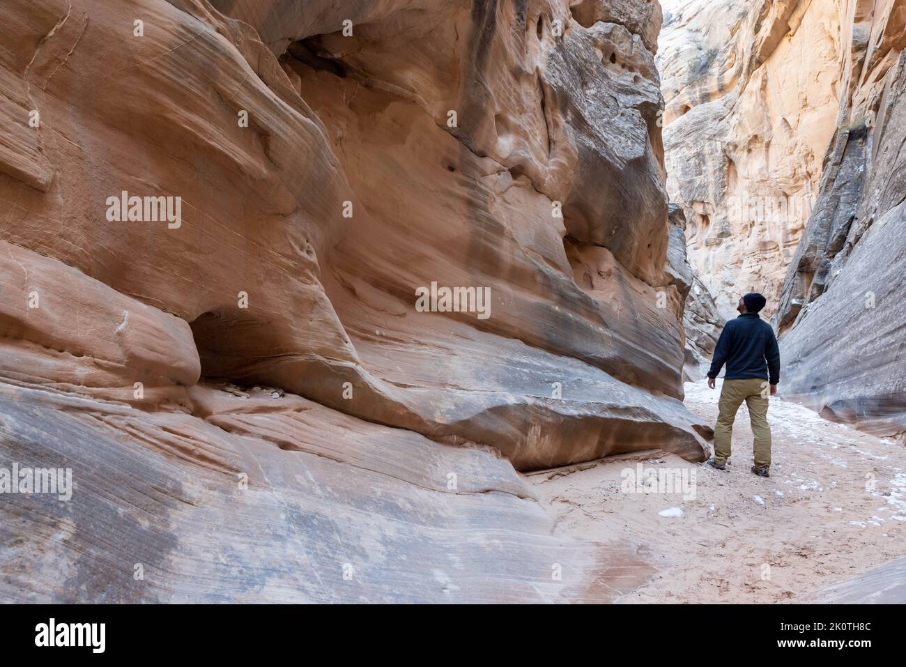 A male hiker looking up at the massive sandstone canyon walls of the Cottonwood Narrows. Grand Staircase-Escalante National Monument, Utah Stock Photo
