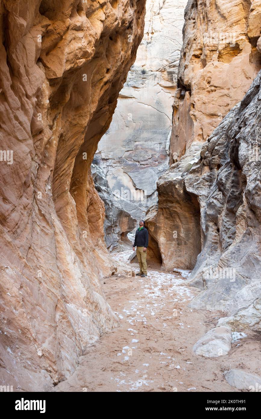 A male hiker pausing to admire the steep canyon walls of the Cottonwood Narrows. Grand Staircase-Escalante National Monument, Utah Stock Photo