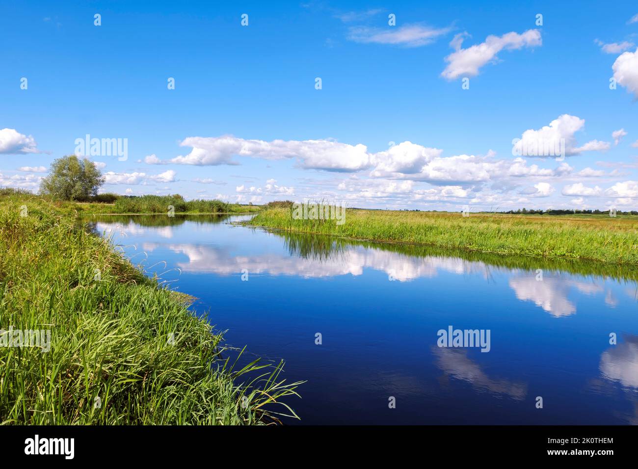 Clouds reflections the water.  Wild river nature cloudscape summer day. Rushes by swamp and beautiful blue cloud sky. Stock Photo