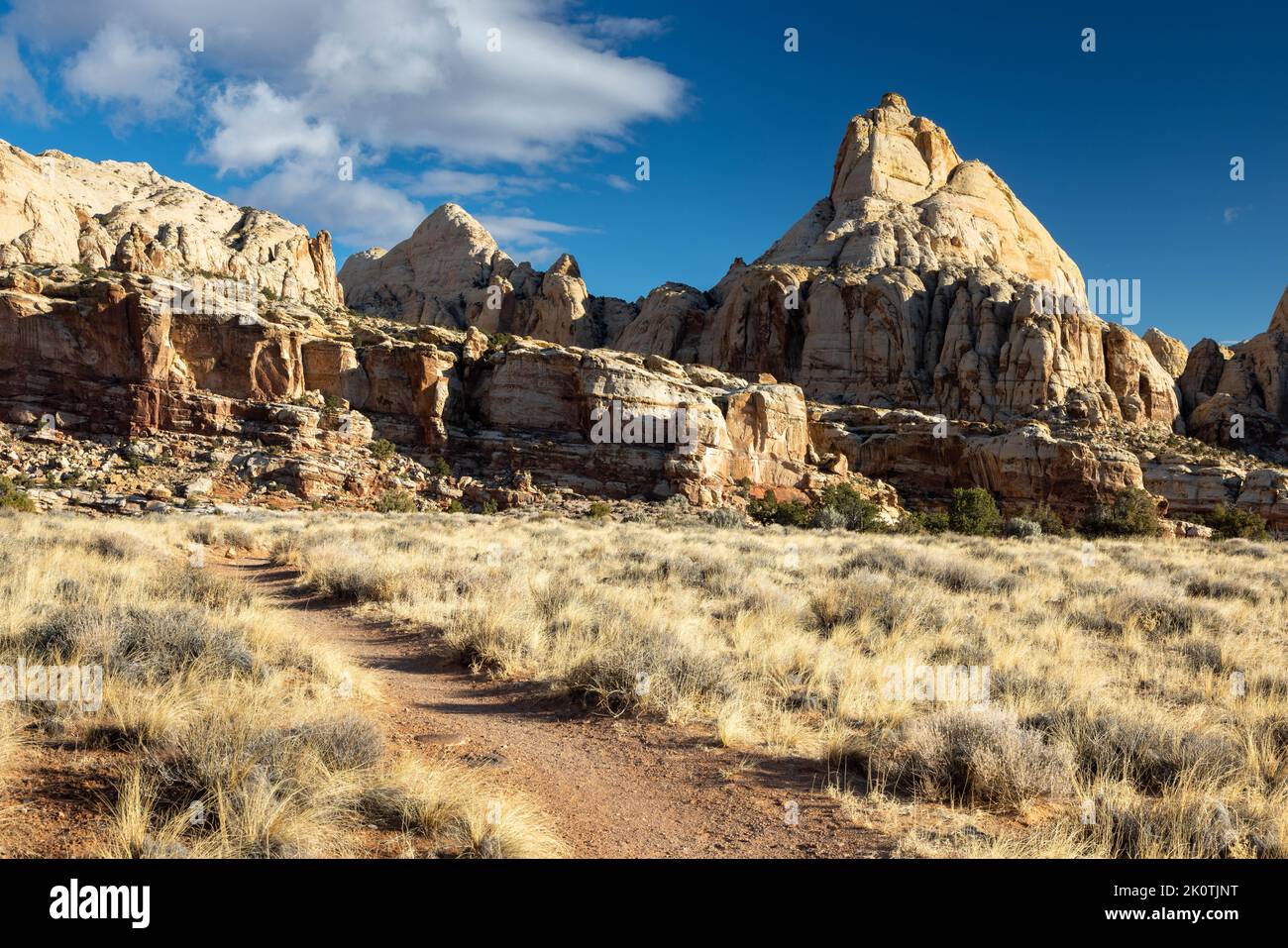 Capitol Dome of the Waterpocket Fold rising above the Overlooks Trail ...