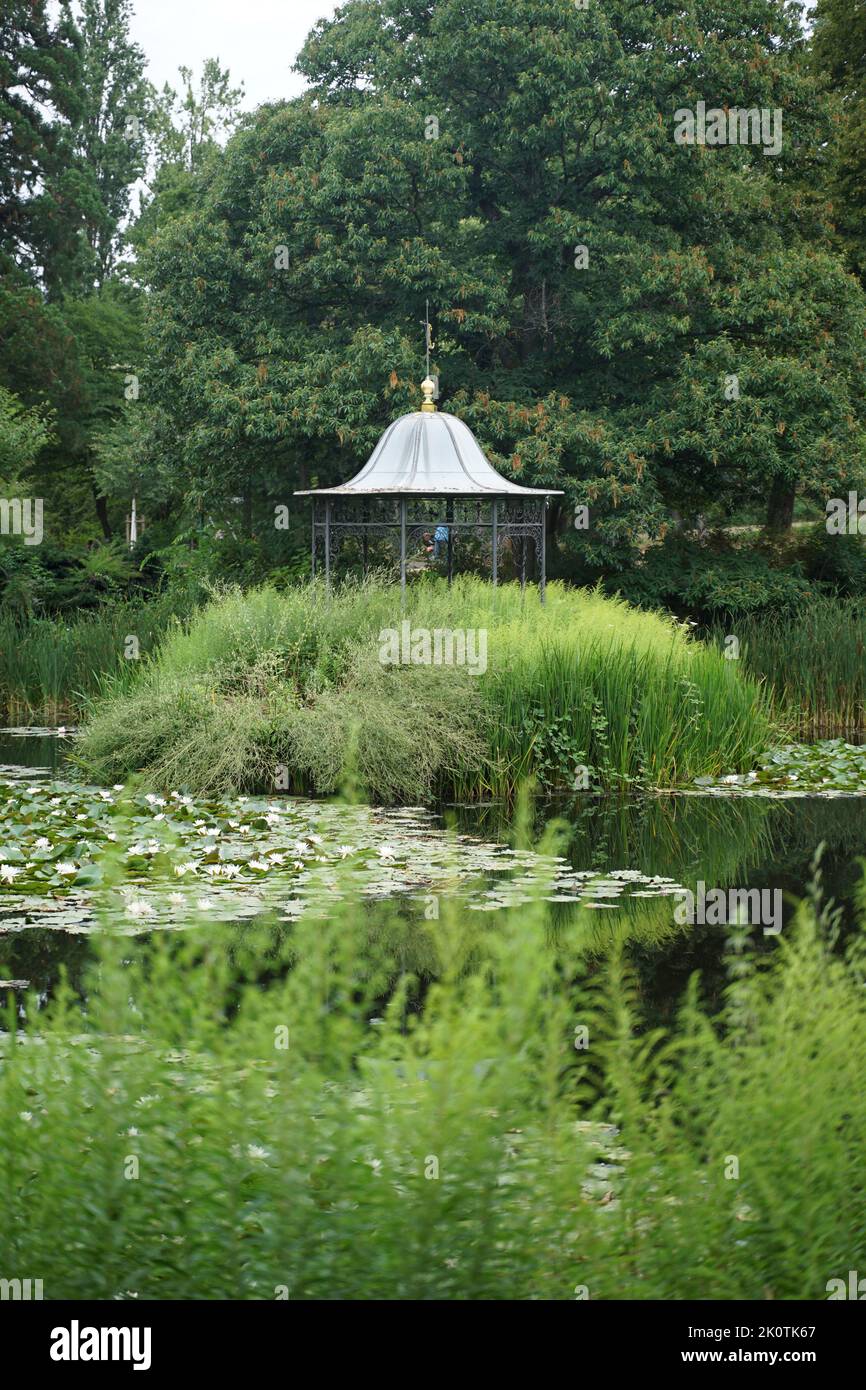 A gazebo in a lake with lotus leaves Stock Photo