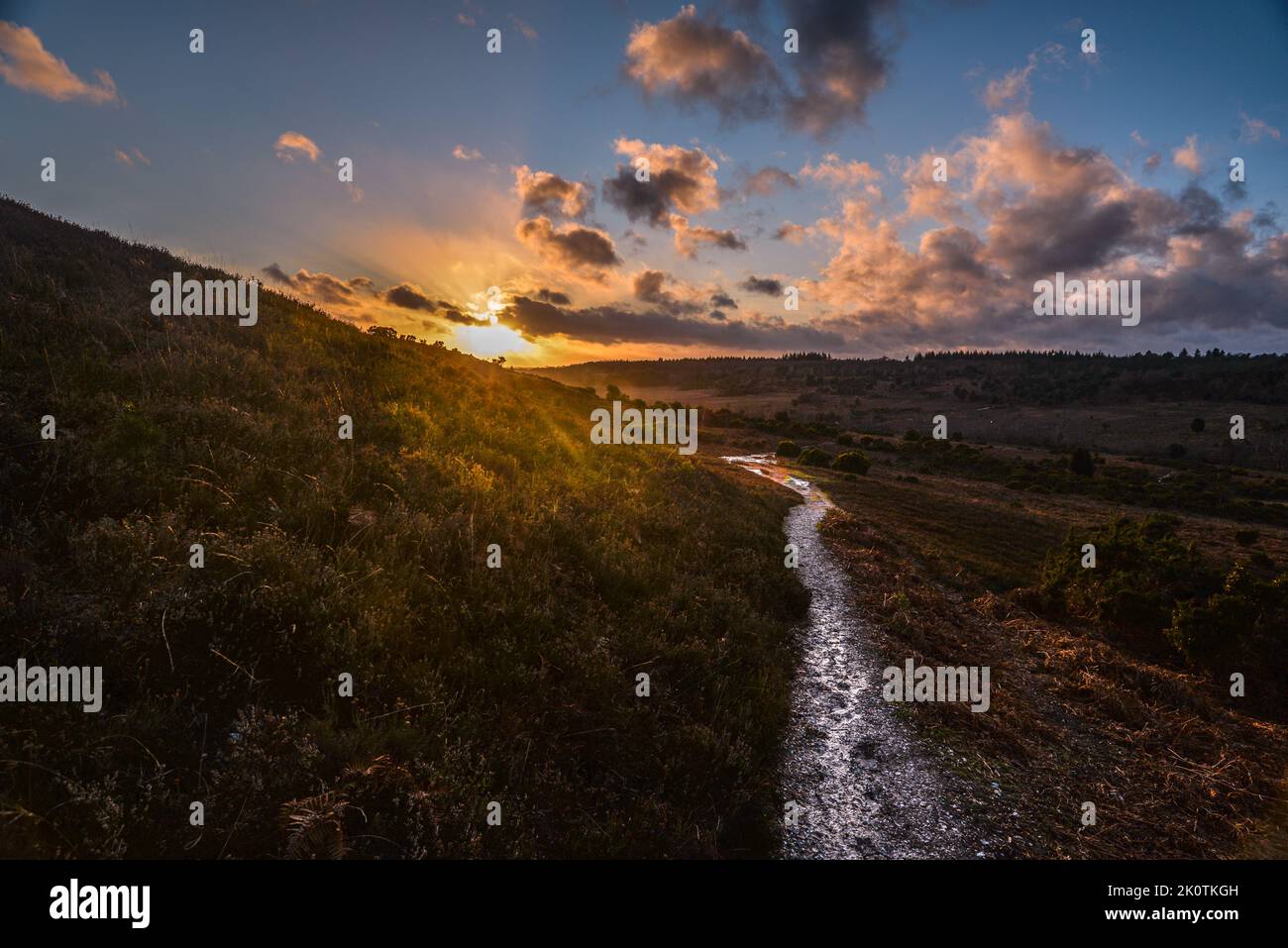 Sunset landscape hi-res stock photography and images - Alamy