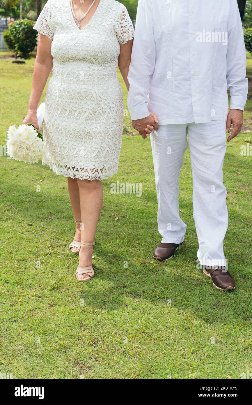 Bride and groom holding hands at the renewal of vows Stock Photo - Alamy
