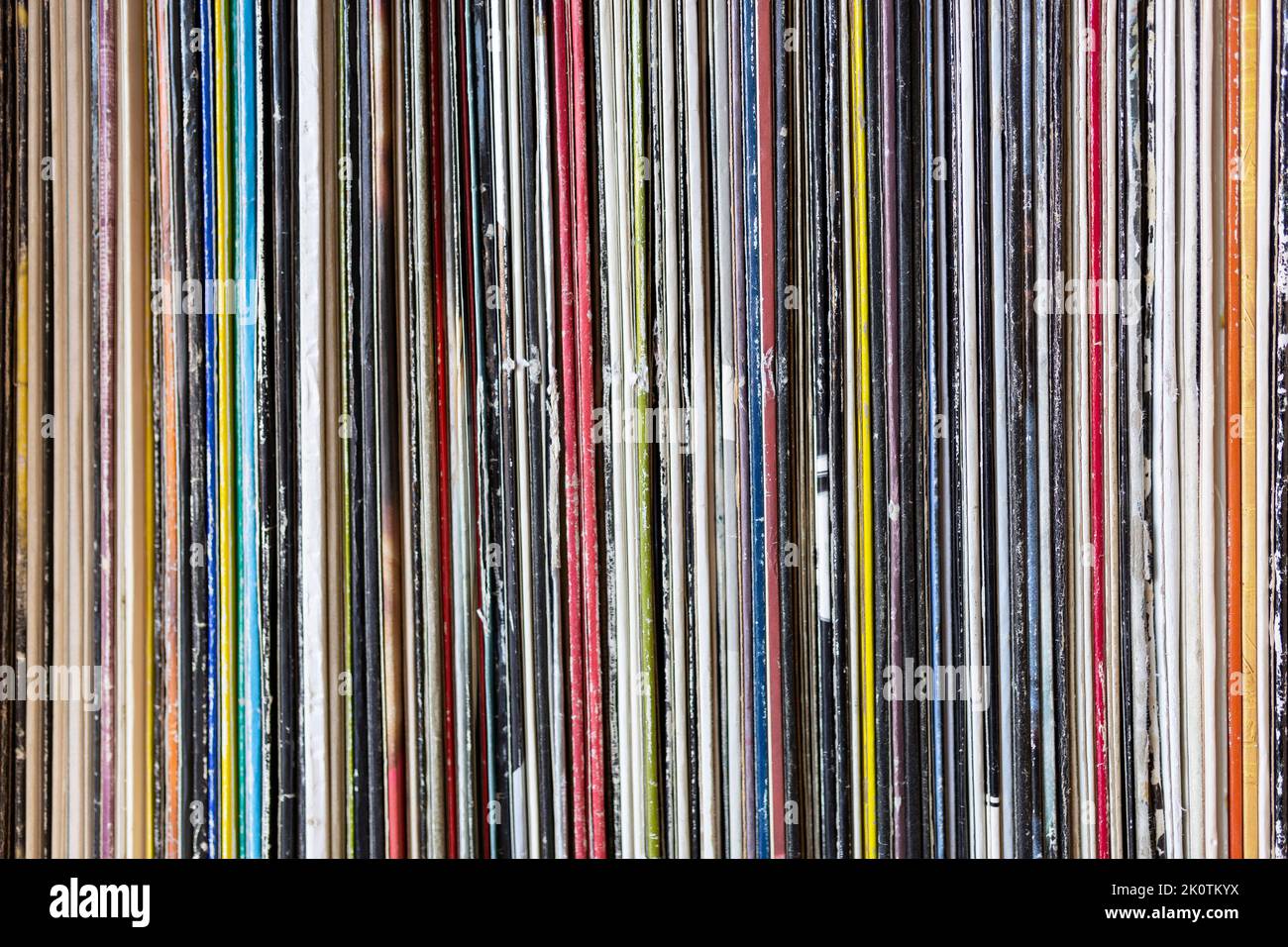  Collected: CDs & Vinyl