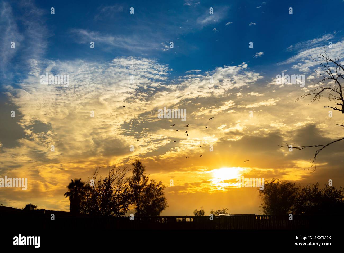 Western countryside sunrise with flying birds in the sky and silhouette trees Stock Photo