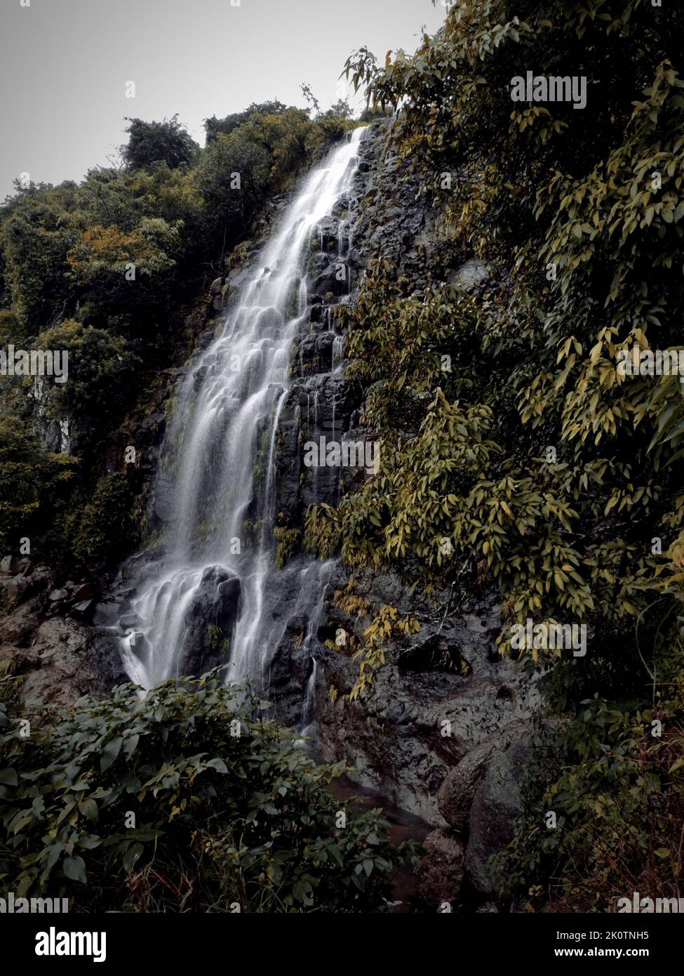 A vertical shot of a waterfall in the forest Stock Photo - Alamy
