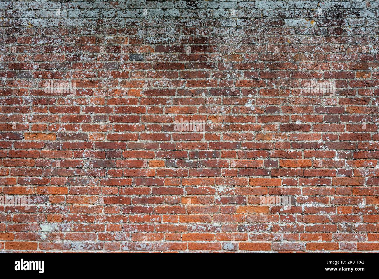 Old red brick wall, texture. Stock Photo