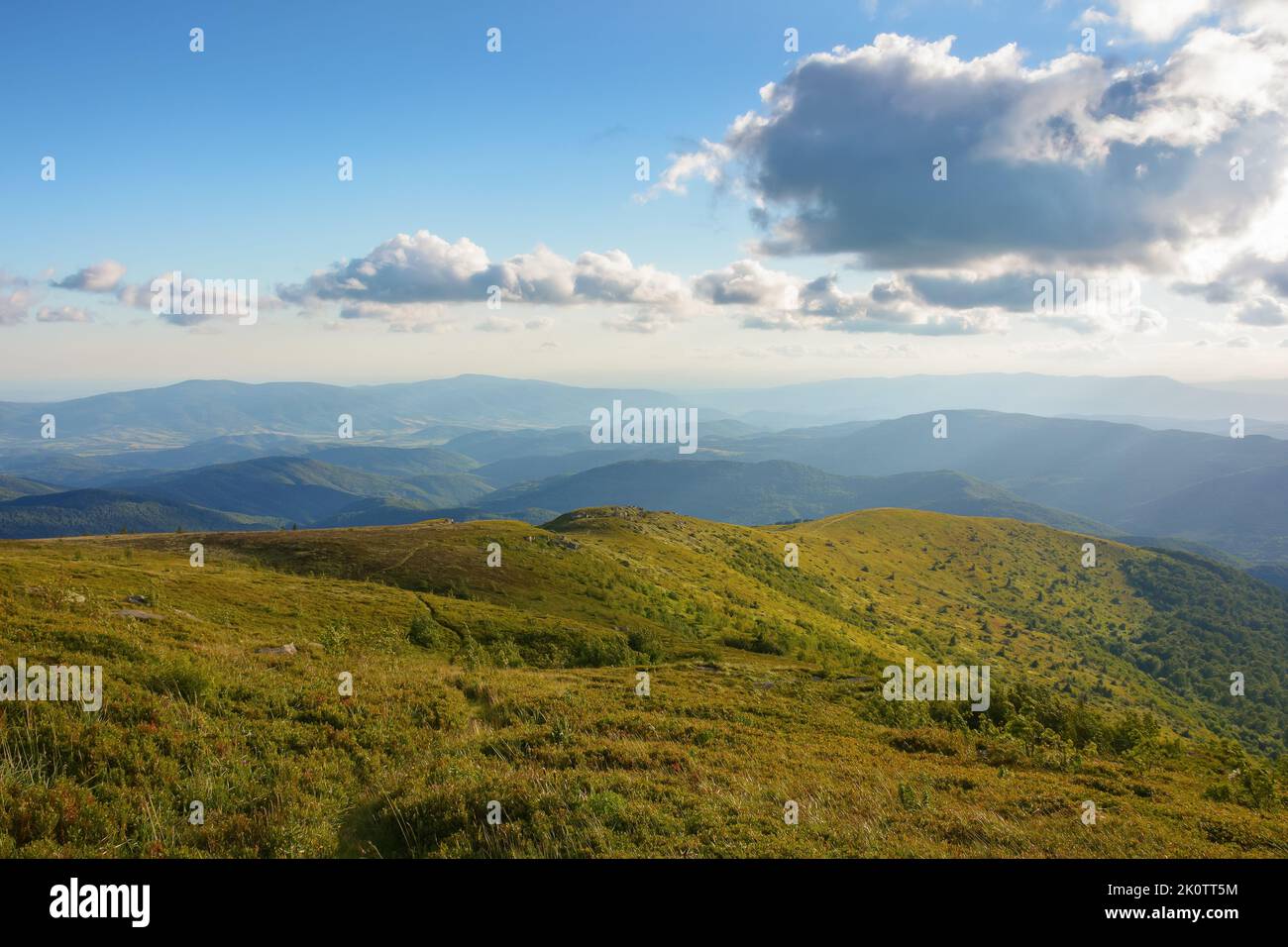 sunset scenery in carpathian mountains. grassy hill in evening light. view in to the distant valley beneath a gorgeous sky with fluffy clouds Stock Photo