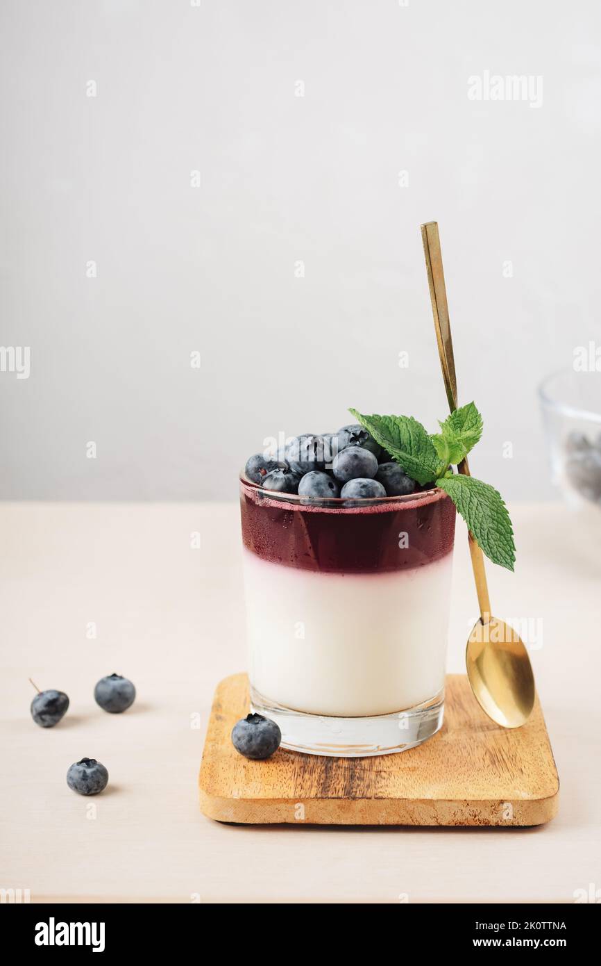 Gelatin dessert with blueberries. Yogurt and blueberry jelly. Stock Photo