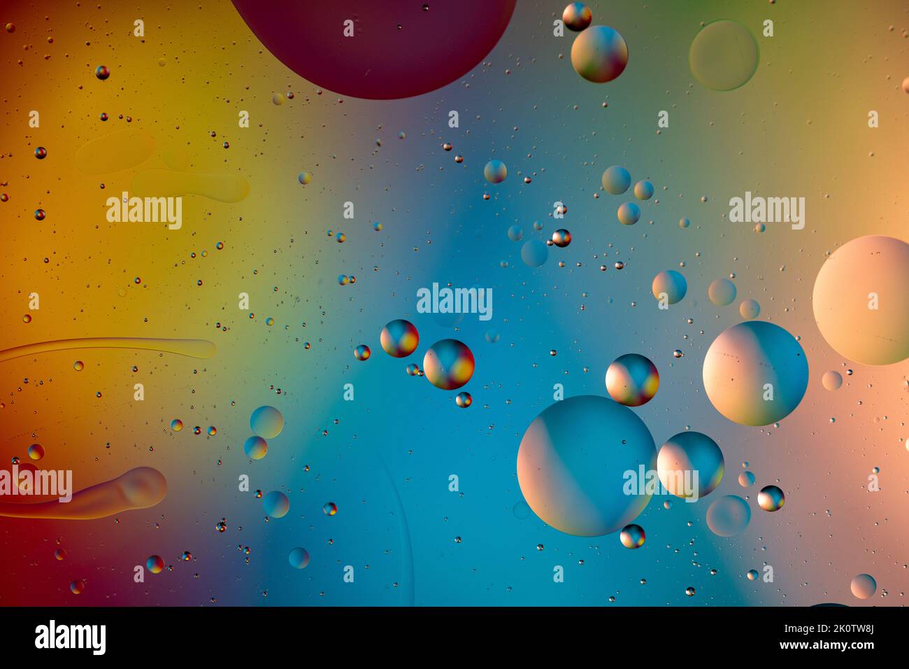 Multicolored Macro Oil Bubbles Abstract Liquid Background Stock Photo
