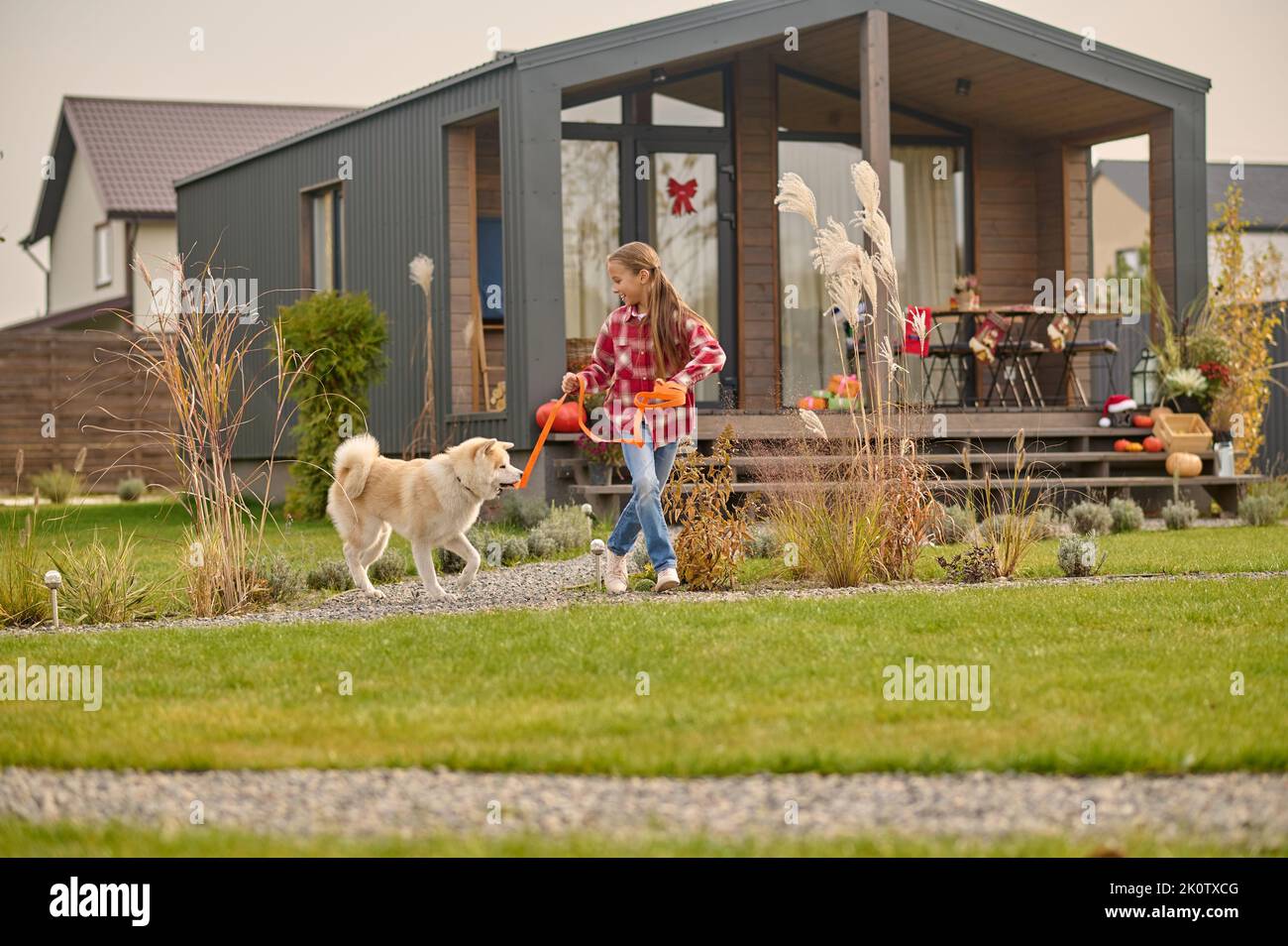 Teen girl walking dog hi-res stock photography and images - Alamy