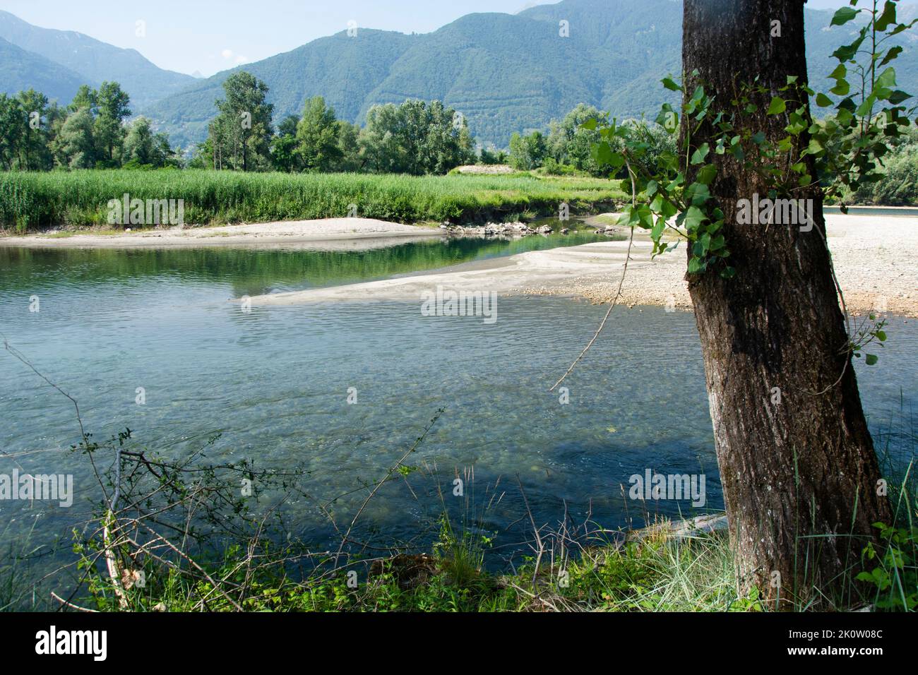 Bolle di Magadino: Die Mündung des Ticino in den Lago Maggiore Stock Photo