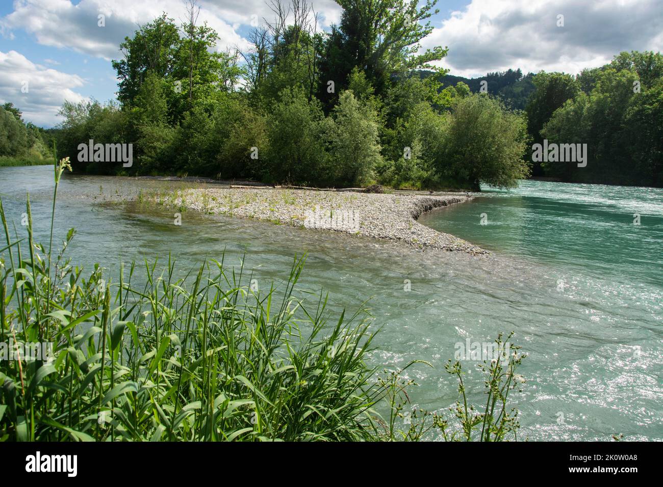 Die rentaurierte Aare zwischen Münsingen und Bern, ein Smaragd-Naturschutzgebiet und Aue von nationaler Bedeutung Stock Photo