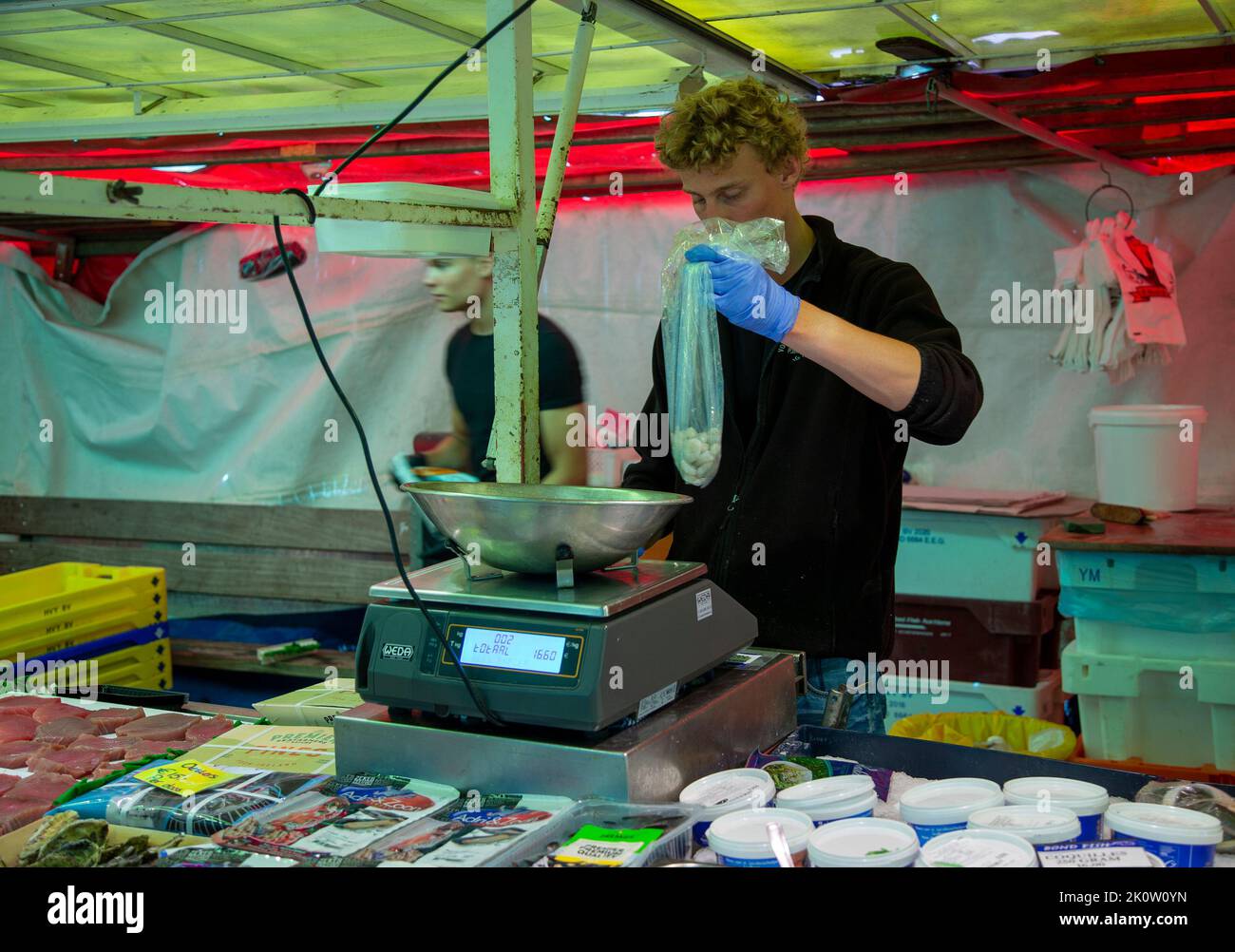 Fish for sale at an Amsterdam outdoor market Stock Photo Alamy