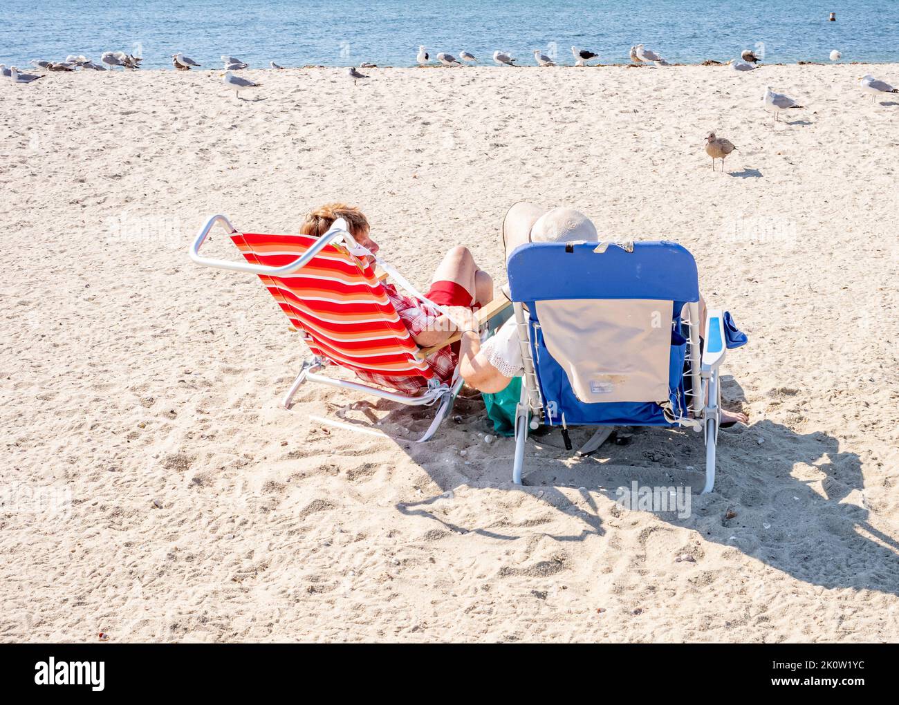These two women sit on the beach enjoying the sun, and each others company. But they are not alone. The gulls are waiting for them to start to eat. Stock Photo