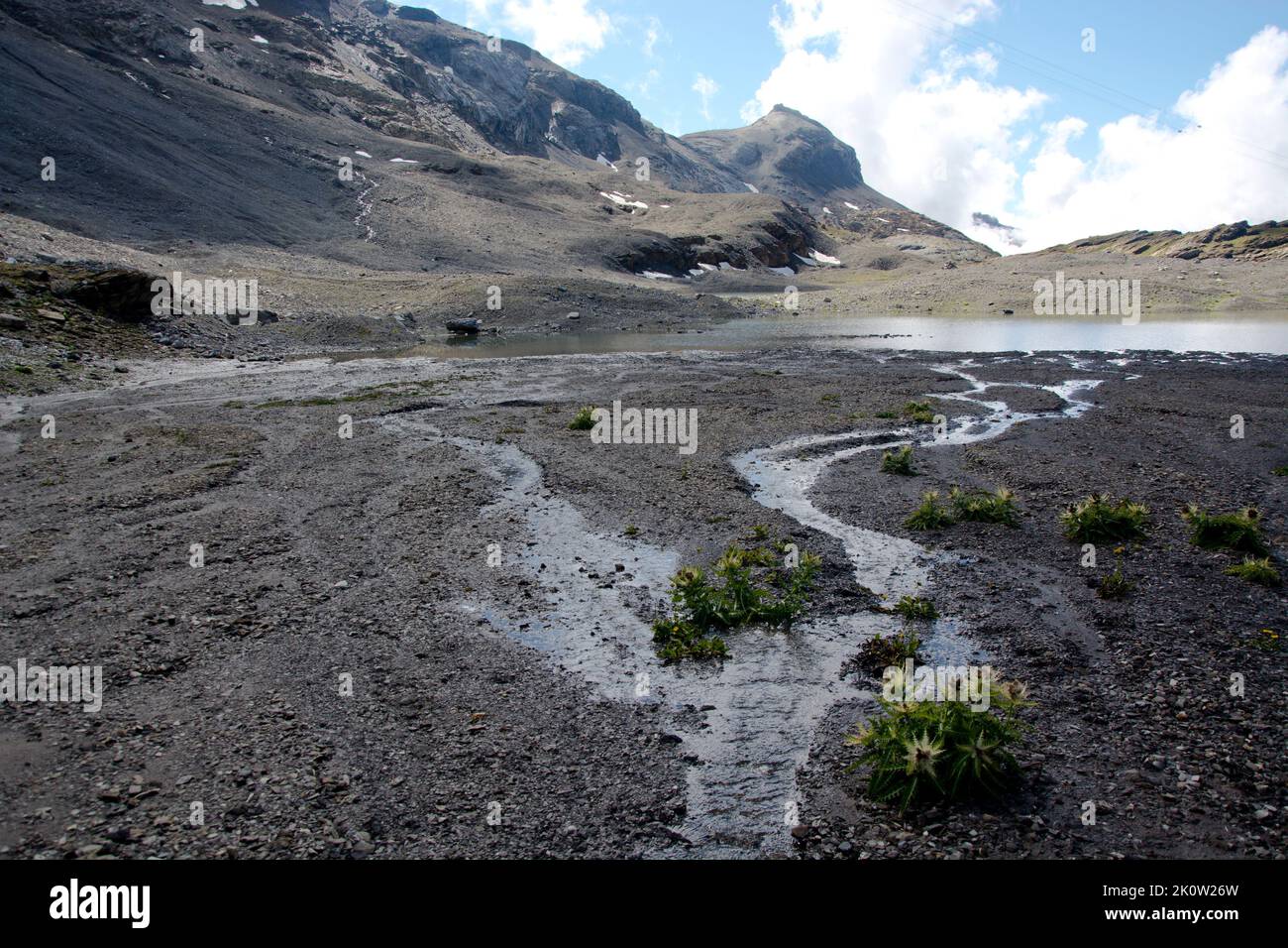 Karge Vegetation an den Rawiler Seen im Berner Oberland Stock Photo