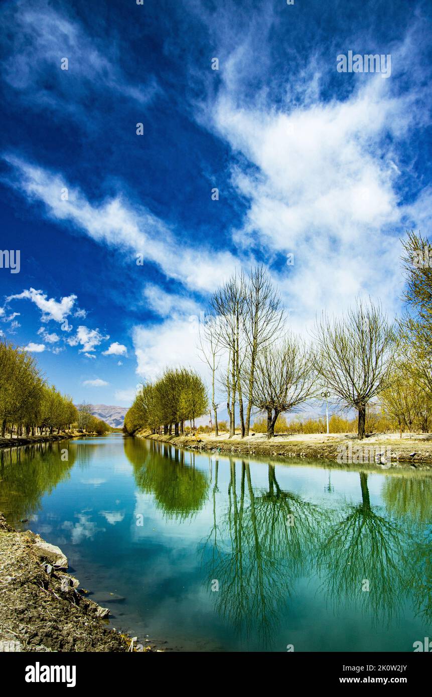 A vertical shot of trees with a reflection on a pond under the blue sky ...