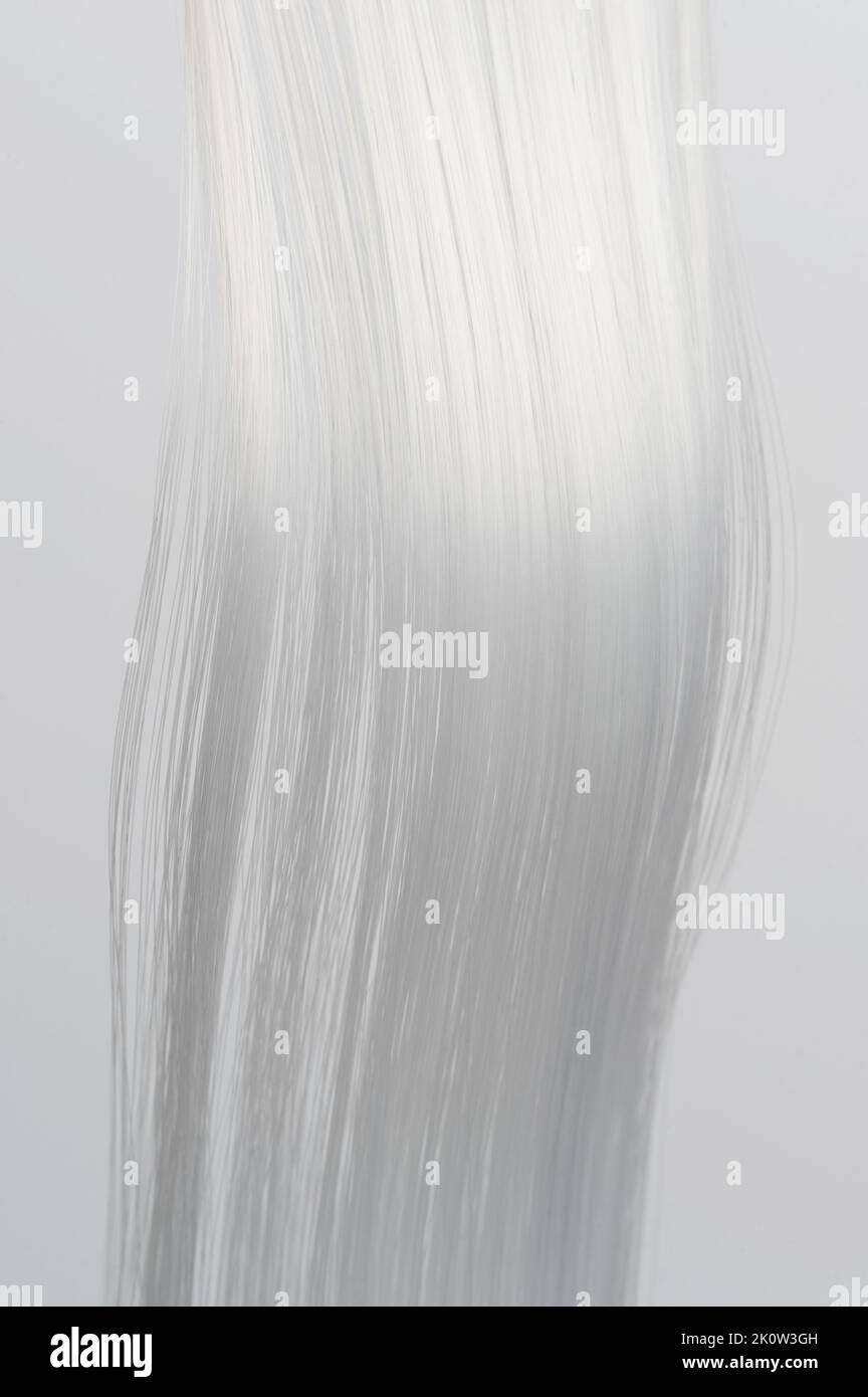 White shiny hair strands isolated on studio background macro view Stock Photo