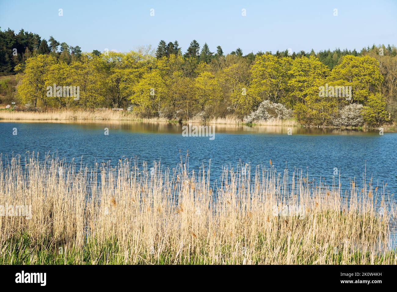 springtime beautiful view of pond or lake Stock Photo