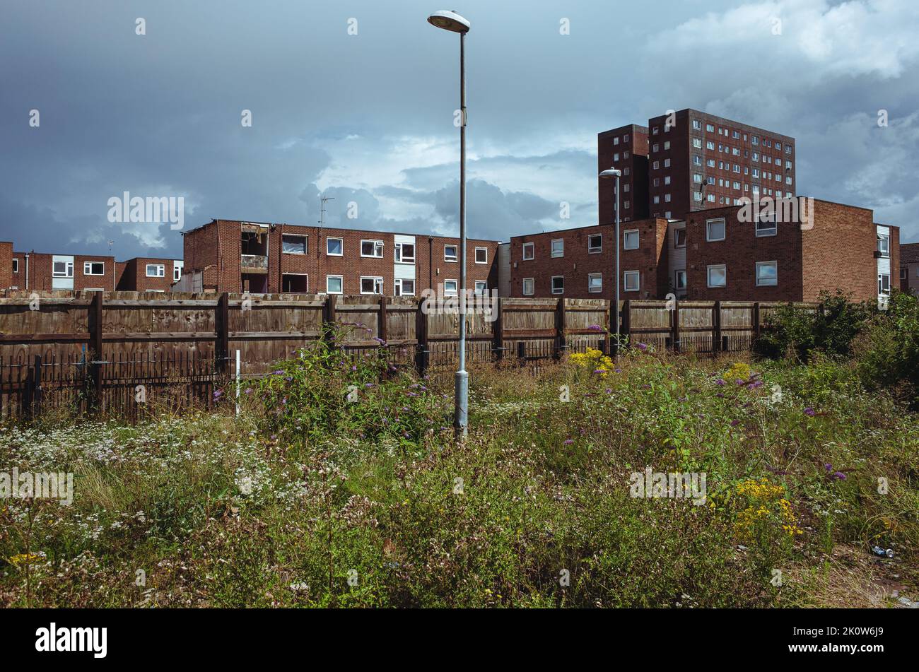 Wasteland area with council flats in background, EAST LONDON housing estate currently undergoing redevelopment, Barking and Dagenham, England, UK. Stock Photo