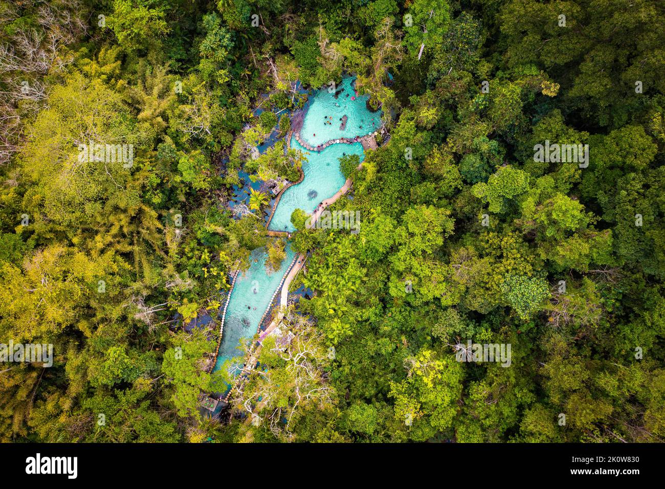 Ban Nam Rat Watershed Forest in Surat Thani, Thailand Stock Photo