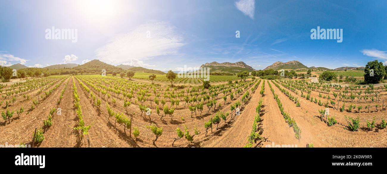Aerial landscape between terraced vineyards of Corsica winegrowing Corsican hills. French countryside and famous for wine of Corsica of France. 360 Stock Photo