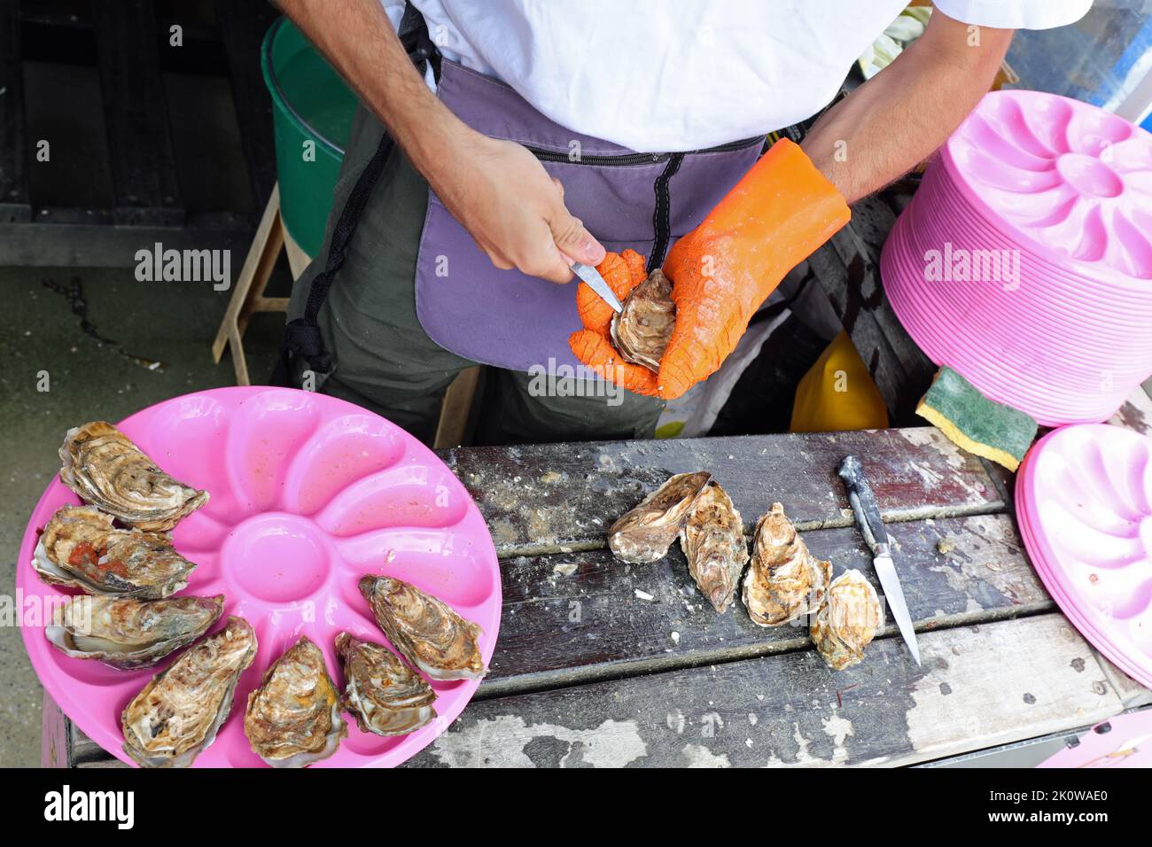 oyster seller opening shells with knitted glove and knife in the fish