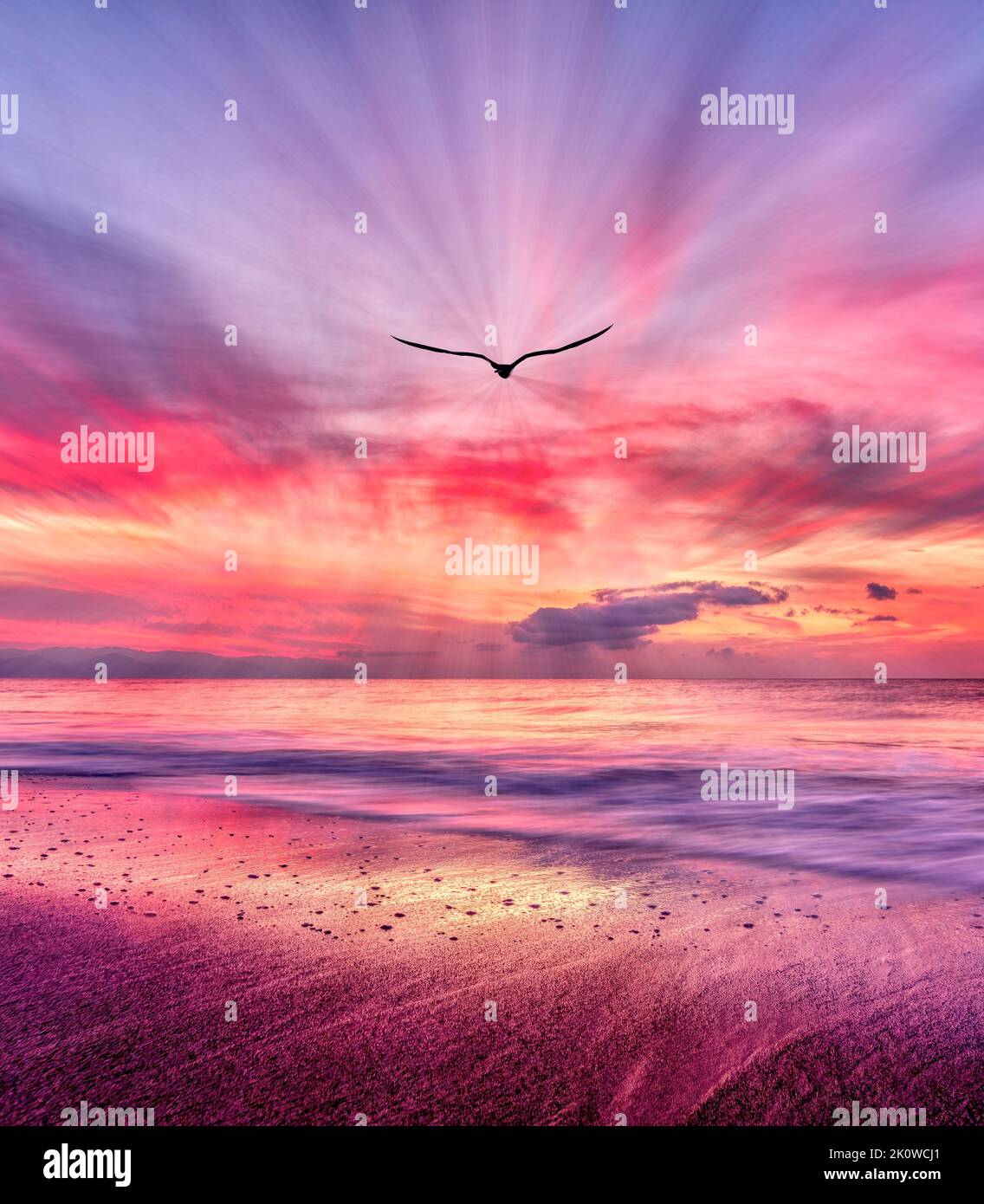 Ocean Landscape Sunset With A Birds Flying Towards A Colorful Romantic Sky In Vertical Image Format Stock Photo