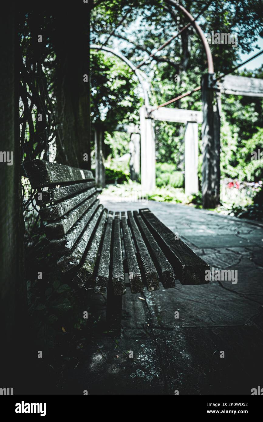 An Empty Bench An empty wooden bench in a park, dramatic and moody shot Stock Photo ...