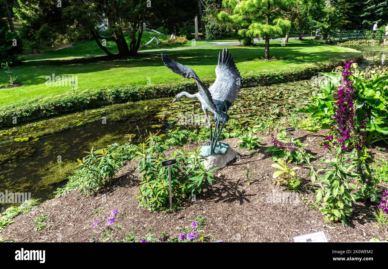 Ester Barrett’s bronze sculpture, Taking Flight, part of the Sculpture in Context series in the National Botanic Gardens, Ireland. Stock Photo