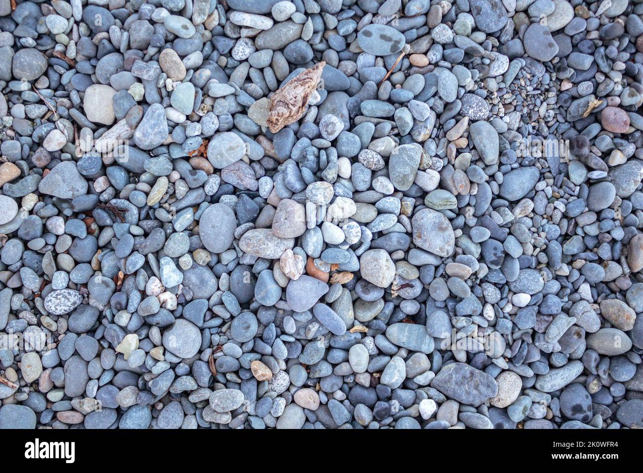 Stones pattern. Decorative white grey blue stones, round stones background , Stones or Gravel for building, floor or wall. Pebbles Texture Stock Photo