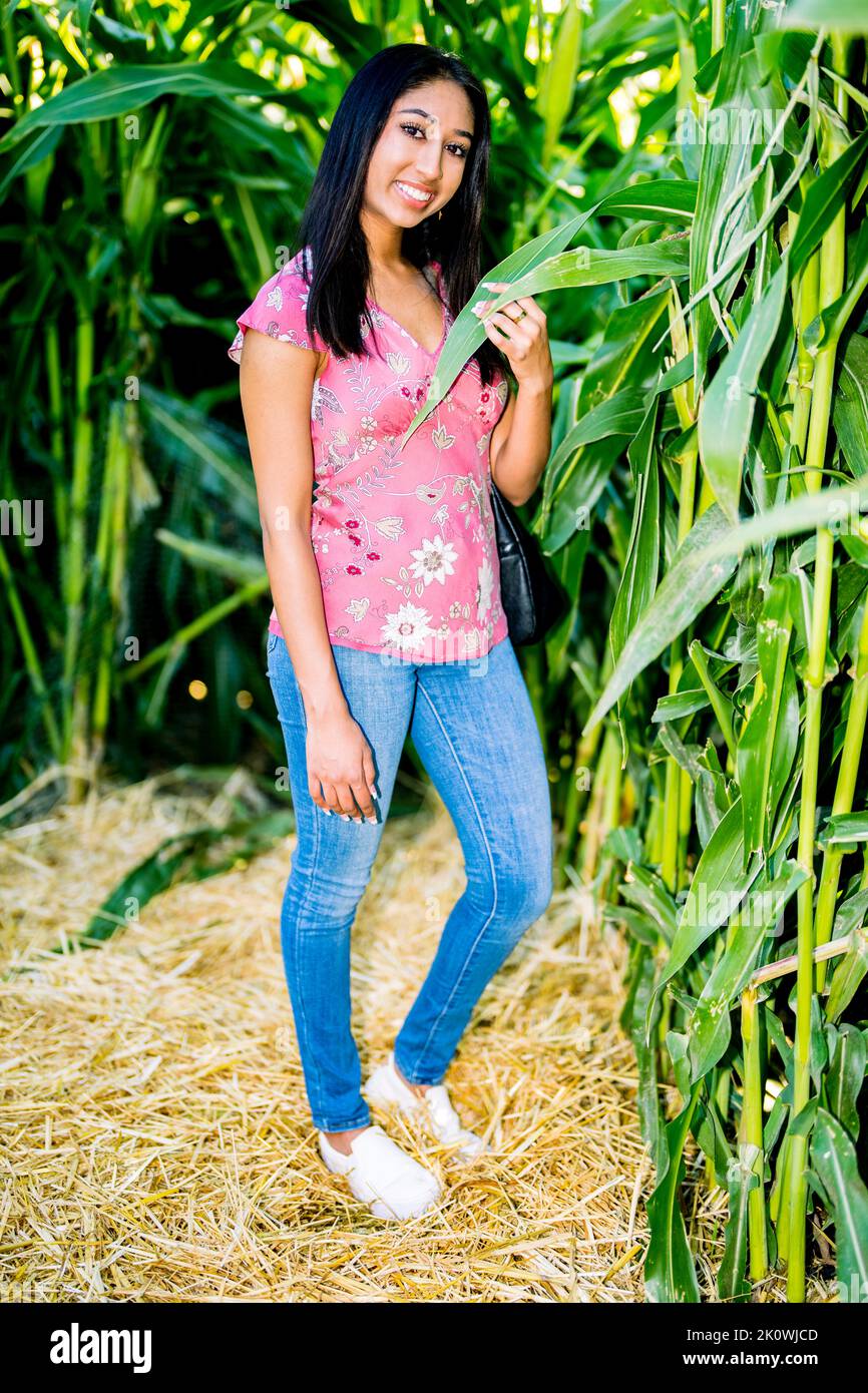 Fall Celebration Portrait of a Young Asian Woman in a Corn Maze Stock Photo
