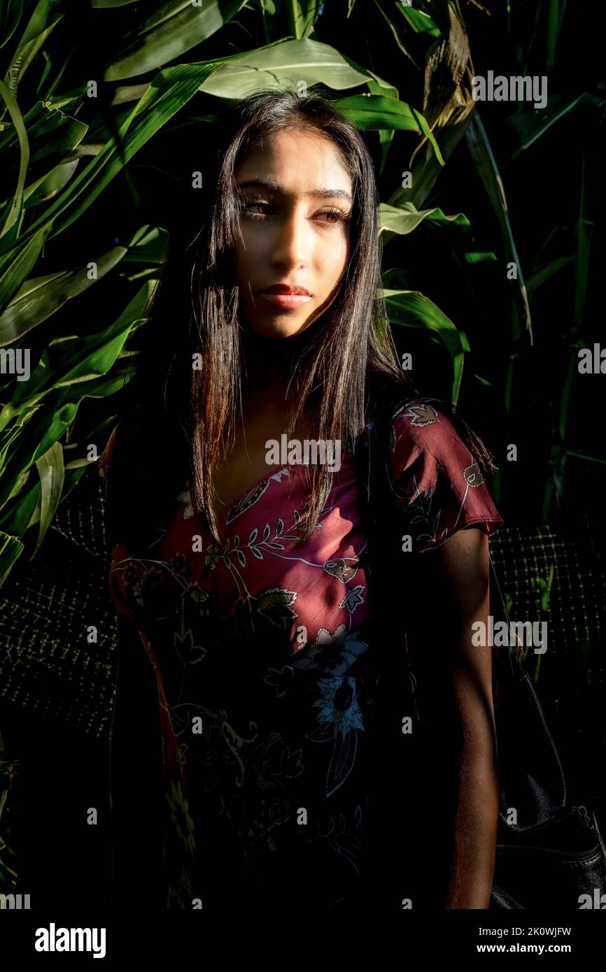 Fall Celebration Portrait of a Young Asian Woman in a Corn Maze Stock Photo
