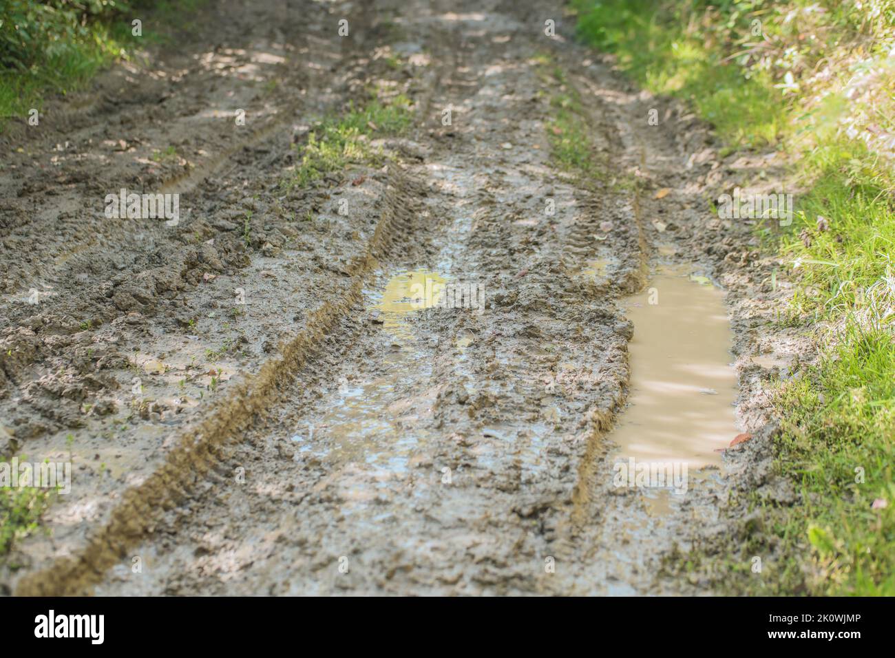 Muddy puddle on dirty road after rainy day. Splash in the rut from the wheel. Muddy weather. Countryside. Stock Photo