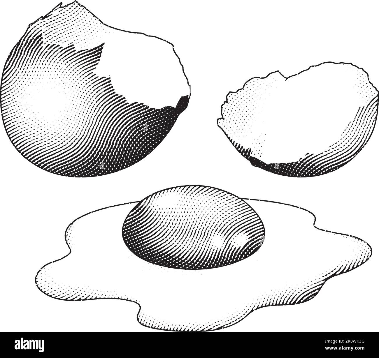 illustration-of-scratchboard-engraved-broken-egg-stock-vector-image