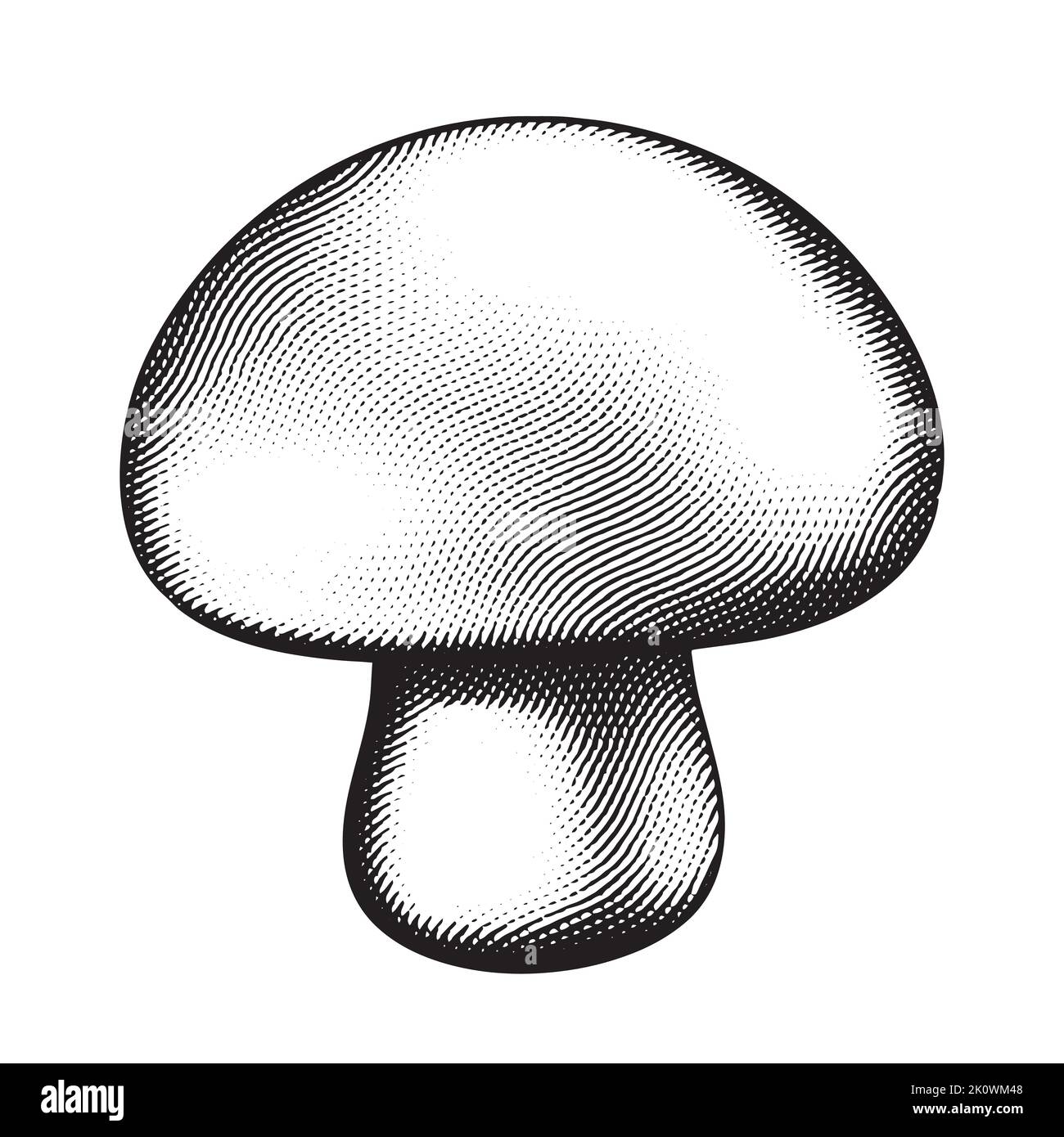 Illustration of Scratchboard Engraved Mushroom Stock Vector Image & Art Alamy