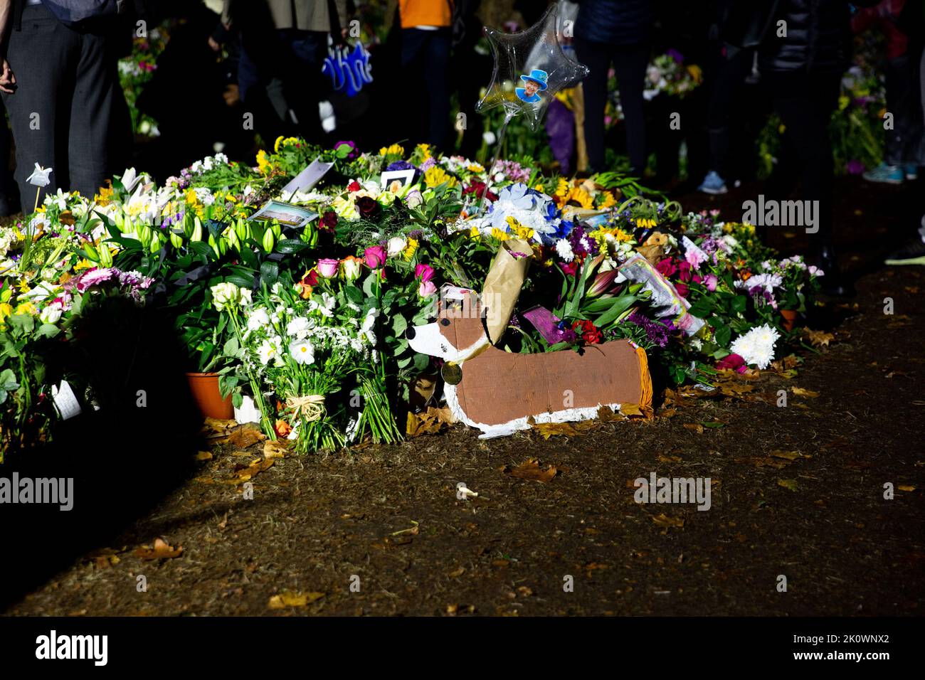 Green Park, London, UK, 13th Sep 2022, Piles of Flowers, a Cardboard Cut Out Corgi - with the name tag Willow, the name of one of the Queen's corgi's , and a star shaped baloon with Queen's smiling face on it.  Credit Chrysoulla Kyprianou Rosling/Alamy Live News Stock Photo