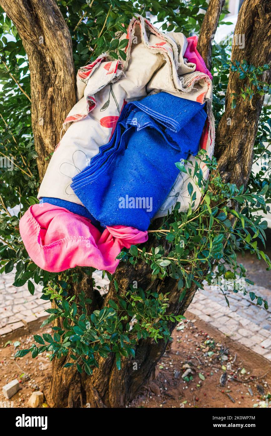 Homeless bedding and personal belongings stowed on tree branches in Belo Horizonte, Minas Gerais, Brazil. Stock Photo