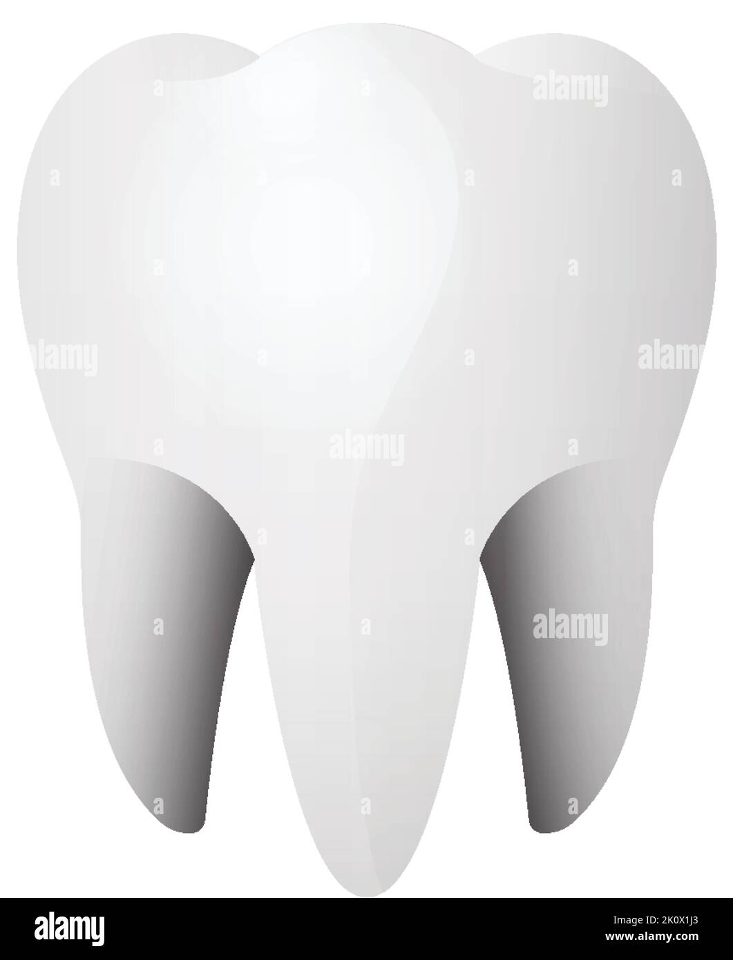 3D of human tooth isolated illustration Stock Vector Image & Art - Alamy