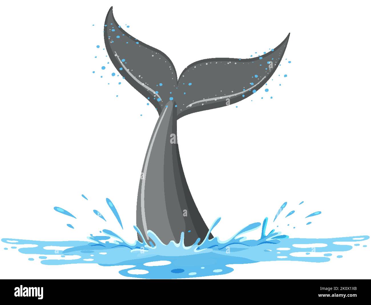 Tail of whale in the water illustration Stock Vector Image & Art - Alamy