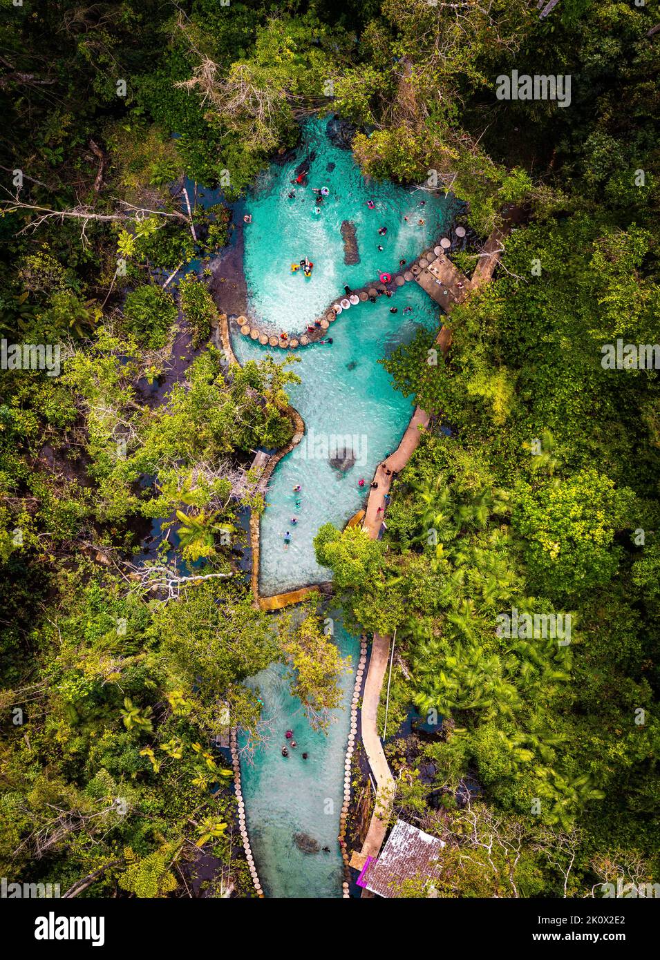 Ban Nam Rat Watershed Forest in Surat Thani, Thailand Stock Photo