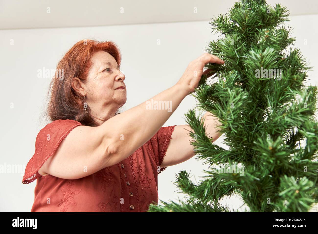 Senior latin woman starting to decorate her Christmas tree. Holidays concept, simple image with copy space. Stock Photo