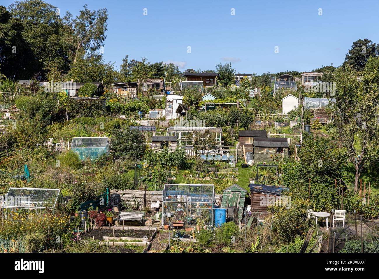 A community allotment in the centre of Edinburgh with sheds and greenhouses Stock Photo