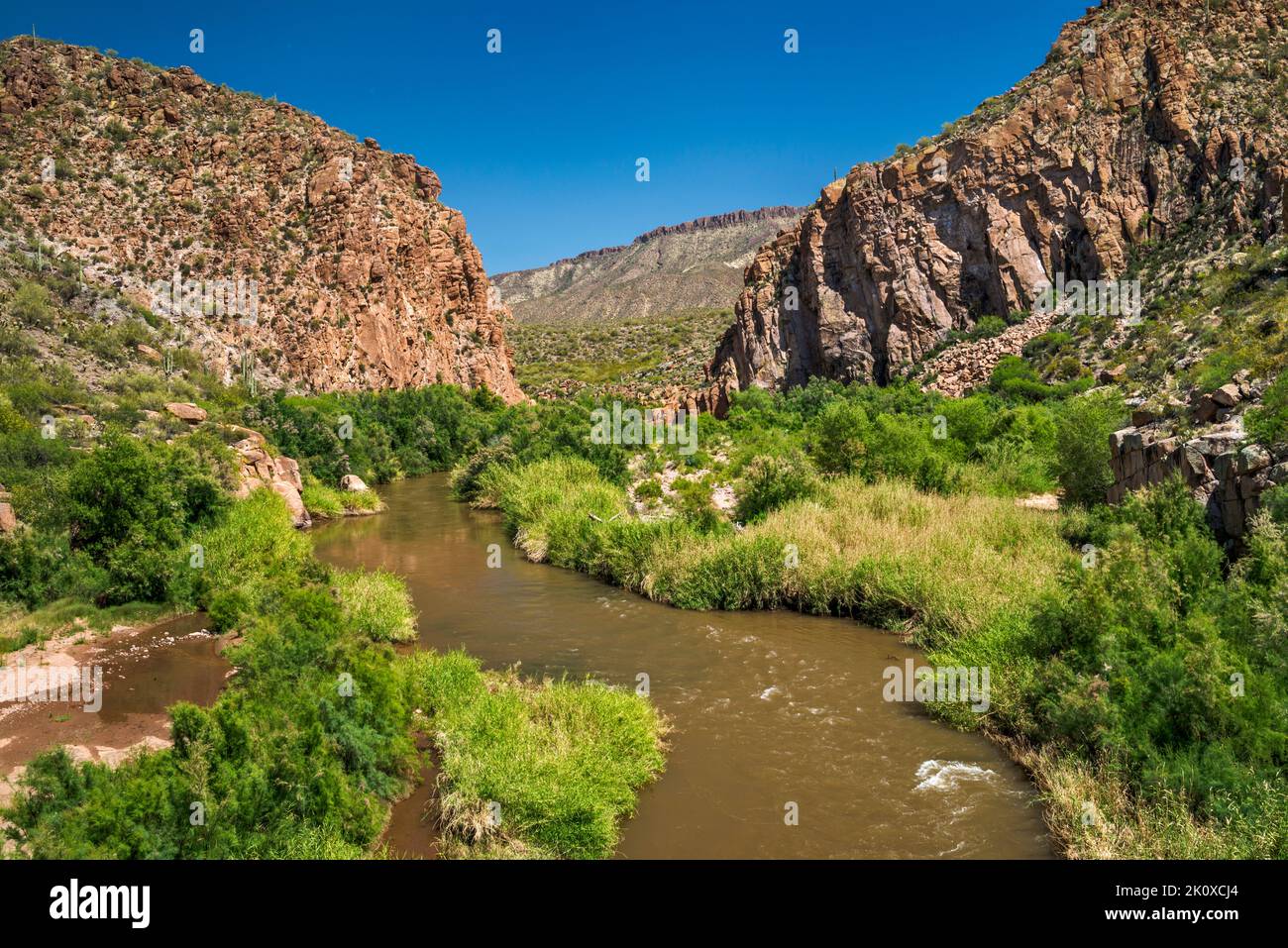 Salt River riparian corridor, near Theodore Roosevelt Lake, from bridge on AZ288 (GlobeYoung