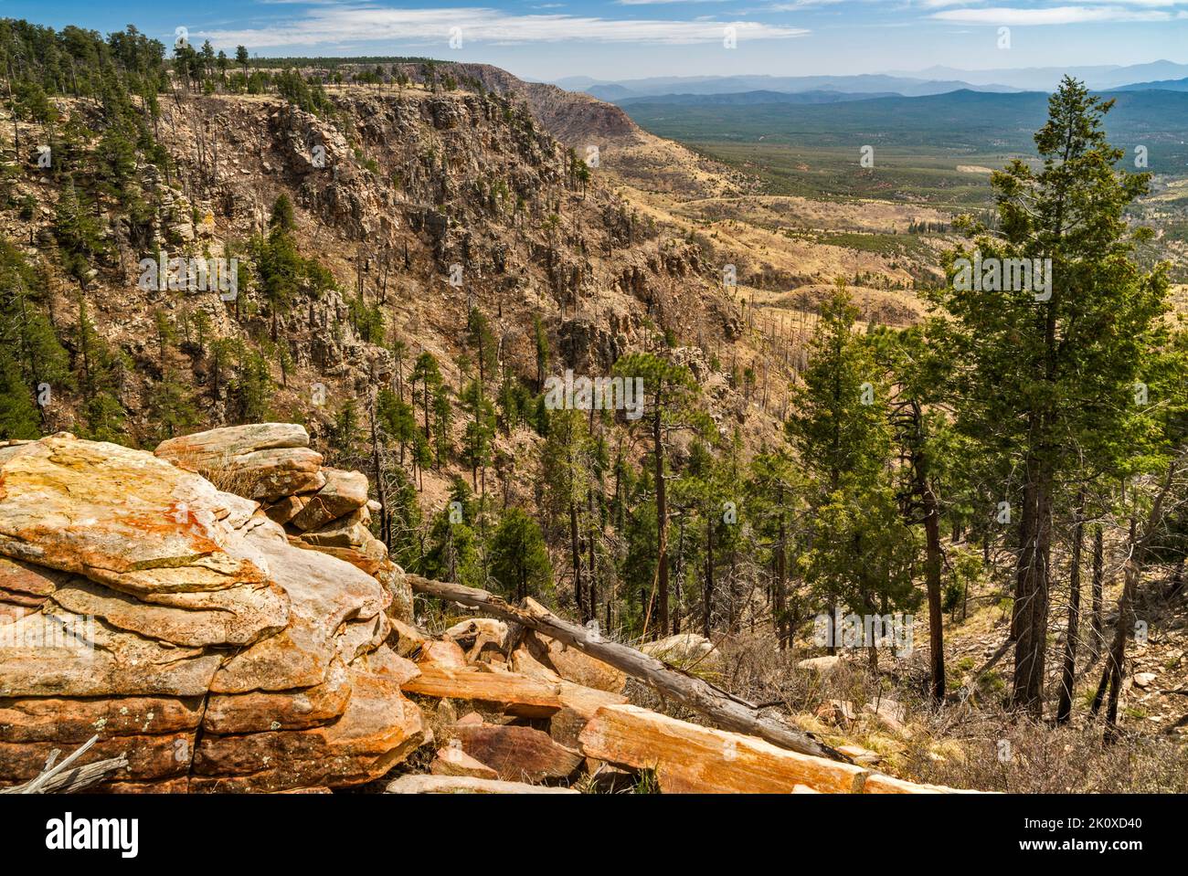 Mogollon rim hires stock photography and images Alamy