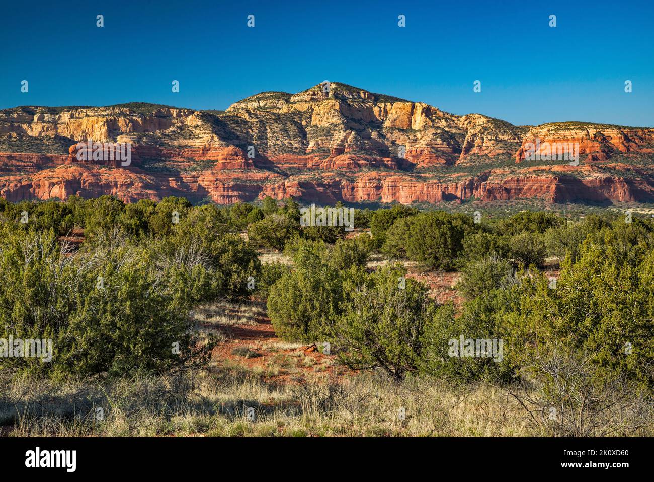 Bear Mountain Massif, Red Rock Secret Mountain Wilderness, From Boynton ...