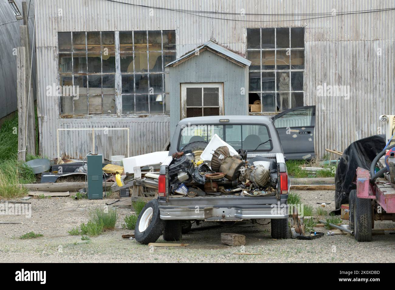 USA, Wyoming, Rawlins, old warehouse and dog Stock Photo