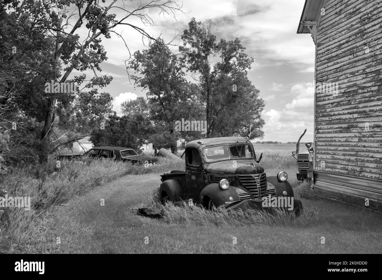 USA, Great Plains, North Dakota, Flora Ghost town Stock Photo